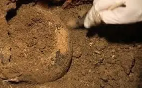 Човешки скелет изровиха от каналите в Кубрат