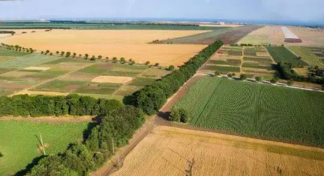 Наближава крайният срок за подаване на декларации за ползване на земеделски земи 