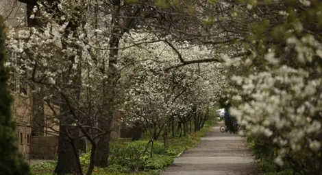 Повишение на температурите, астрономическата пролет настъпва днес