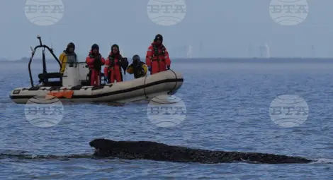 Снимка: БТА