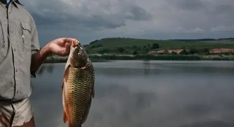 Лаком рибар глътна жива риба, спасиха го на косъм от задушаване
