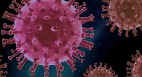 Новият щам уплаши света: Какво се знае дотук?