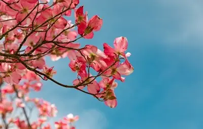 Слънчево и до 32 градуса днес