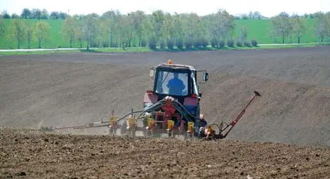 България е седма в ЕС по дял на обработваемите земи