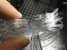 Ракът ще изчезне като заболяване Ракът ще изчезне като заболяване