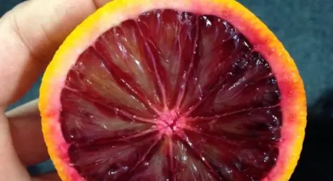 Внимание: Отровни портокали заляха пазара Внимание: Отровни портокали заляха пазара