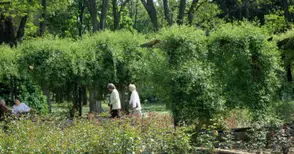 Розариумът става концертна сцена