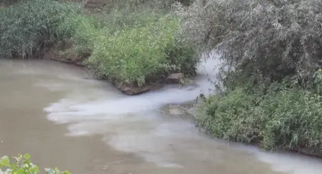 Производител на кори за яйца отново засечен да оцветява Русенски Лом