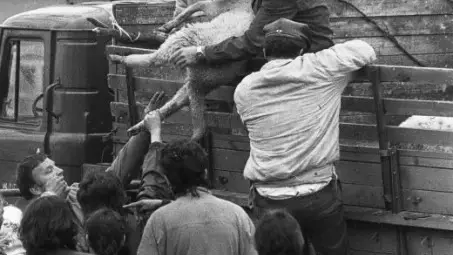 Организирана циганска банда доведе едри фермери до фалит