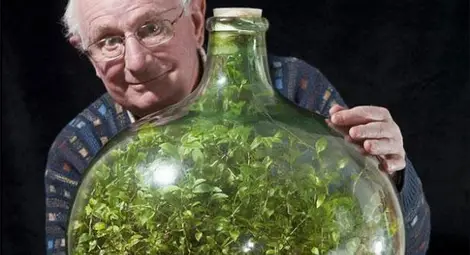 Градина расте в затворена от 1972 г. насам бутилка