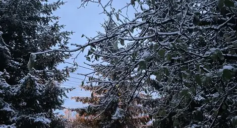 Жълт код за опасно време в 9 области заради сняг и поледици