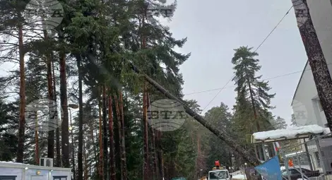 Снимка: БТА