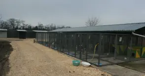 Ветеринарят д-р Людмил Спасов поe управлението на приюта за кучета