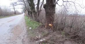 Млад шофьор загина дни преди 24-ия си рожден ден