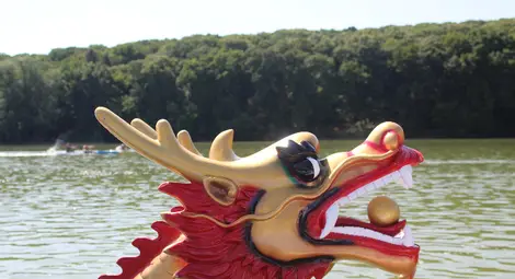 Първите драконови лодки за предстоящото Световно първенство вече са в Русе /галерия/