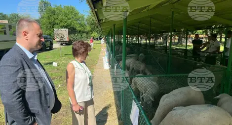 Снимка: БТА