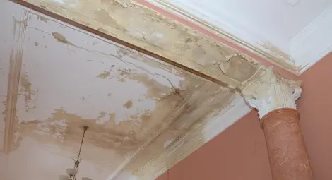 Протече и покривът на зала &bdquo;Филхармония&ldquo;