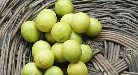 Защо лимоните могат да бъдат опасни?