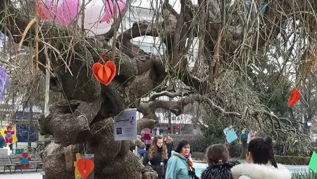 Обявяват конкурс за интересни  и артистични картички-валентинки