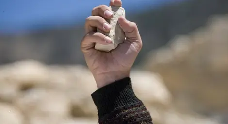 „Биг Брадър“ е последната надежда на възрастна жена срещу психично болна „Биг Брадър“ е последната надежда на възрастна жена срещу психично болна