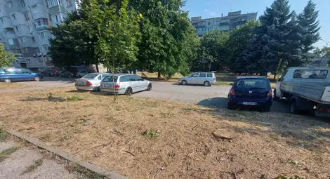 Граждани за зеленото богатство на Русе: Защо се режат здрави дървета?