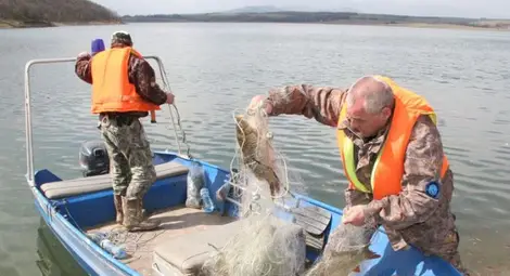 ИАРА и тел. 112 ще си сътрудничат в борбата с бракониерските набези