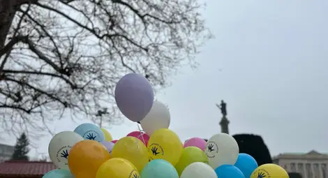 Община Русе се включва в отбелязването на Световния ден на редките болести