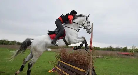 Русе беше домакин на първото състезание по всестранна езда /галерия/