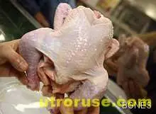 Беларус забрани вноса на птици и птиче месо от България