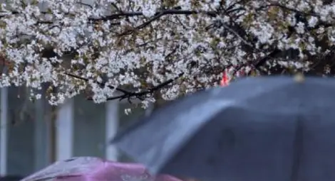 Дъжд и температури до 10 градуса и в следващите дни Дъжд и температури до 10 градуса и в следващите дни