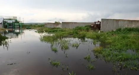 Държавата дава 16 000 лева за проект за спешно почистване на река Студена