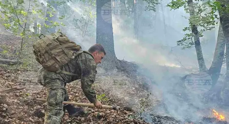 Снимка: БТА