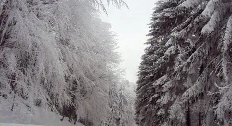 Проходът „Петрохан” вече е проходим Проходът „Петрохан” вече е проходим