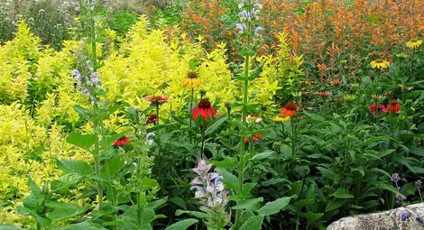 Ароматни билкови градини радват гостите на Албена