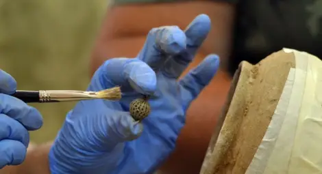 Учени откриха съкровище край нос Калиакра