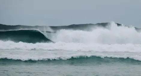 Силен вятър в 12 области, температурите - от минус 4&deg; до 14&deg;