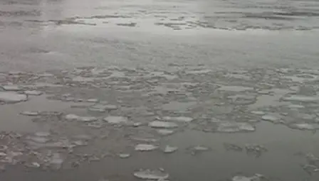 Ледени късове покриха Дунав 