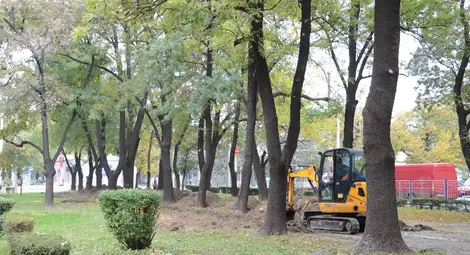 Багери и отсечени клони притесниха блок &bdquo;Сердика&ldquo;