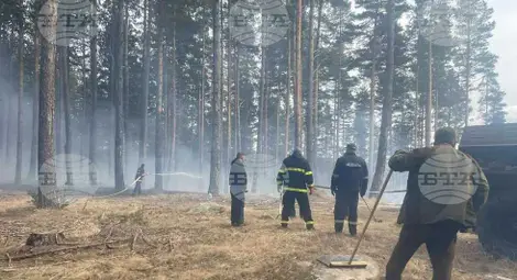 Снимка: БТА Снимка: БТА