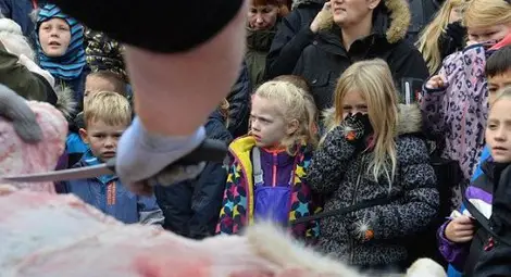 Изкормиха и разчлениха лъв пред очите на дечица в Дания Изкормиха и разчлениха лъв пред очите на дечица в Дания