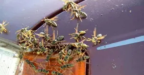 Цял блок в „Дружба“ под обсада от оси