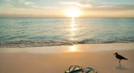 Започнаха ранните записвания за новия туристически сезон