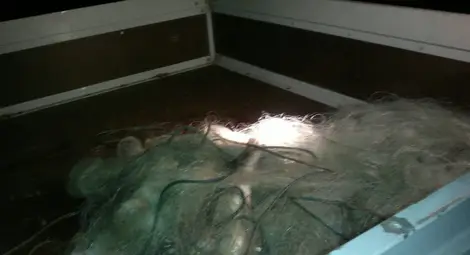 200 метра бракониерски мрежи са иззети от язовир &bdquo;Бели Лом&ldquo; в Разград