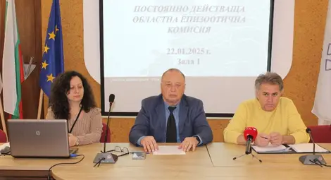 Само в района на &bdquo;Мидата&ldquo; има крайпътно пасище, електропастир спира животните