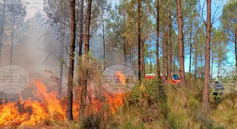 Снимка: БТА