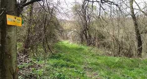 Създава се обществен съвет "Заедно за Поломието"