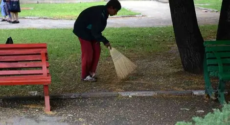 Мургави билкари събират липов цвят и от калта