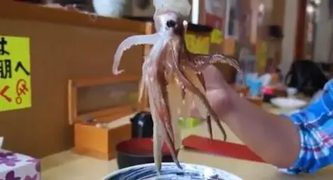 Сварена сепия възкръсна в чинията на японец