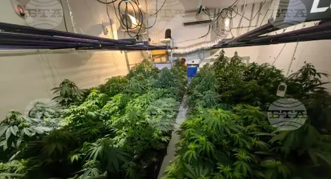 Снимка: БТА Снимка: БТА