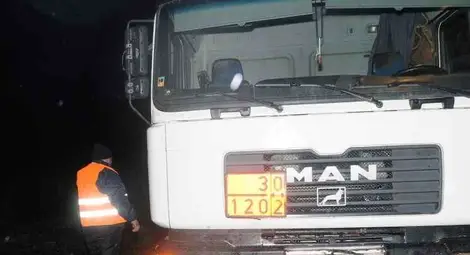 Камион отнесе стадо диви прасета